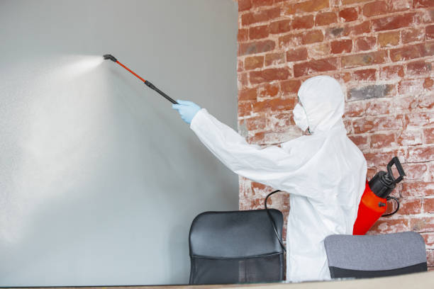 Best Commercial Mold Inspection  in Sebastopol, CA
