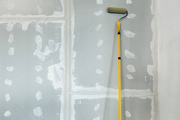 Best Dehumidification Services  in Sebastopol, CA