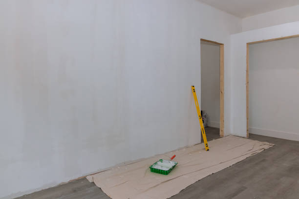 Best Real Estate Mold Inspection  in Sebastopol, CA