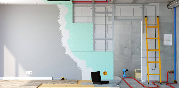 Best Basement Mold Removal  in Sebastopol, CA