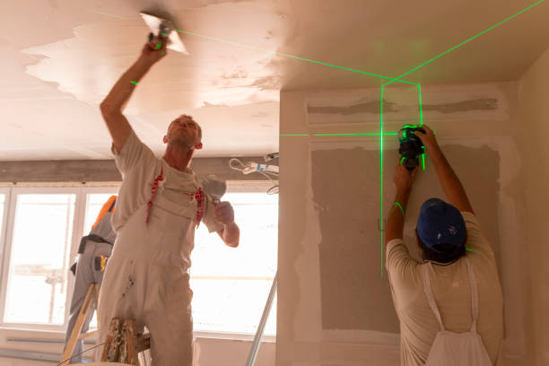 Best Black Mold Removal  in Sebastopol, CA