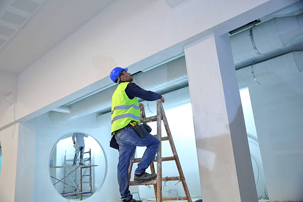 Best Mold Remediation for Healthcare Facilities  in Sebastopol, CA